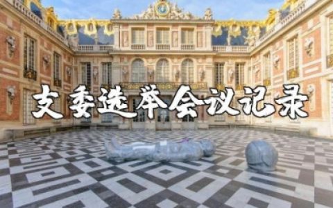 支委选举会议记录范文 选支部书记的会议记录模板