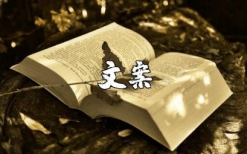 2025年说说大全致自己的一句话 写给2025年的自己的话简短