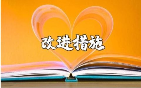 个人自身建设存在的问题不足及改进整顿措施通用范文