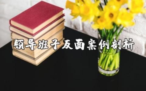 领导班子反面案例剖析材料汇总 领导班子典型案例分析精选范文