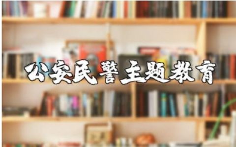 公安民警主题教育活动的心得体会及收获感悟精选范文