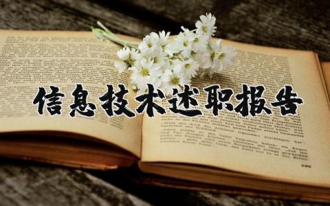 信息技术述职报告范文 信息技术年度考核个人总结 (3篇）