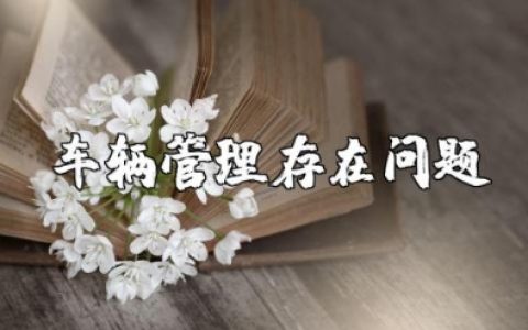 车辆管理存在问题及整改措施范文 车辆管理不规范及改善方法