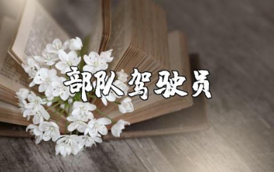 部队驾驶员年终工作总结模板 部队驾驶员2025工作述职报告