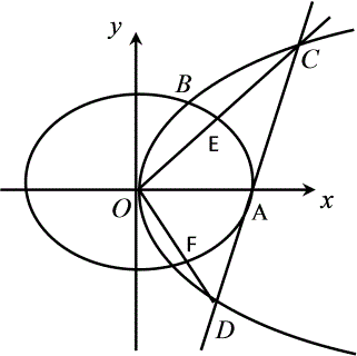 抛物线的基本知识点(定义+方程+易错点+公式+例题)归纳总结