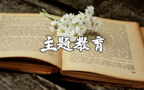 团员和青年主题教育的总结报告 主题教育学习收获感悟汇总