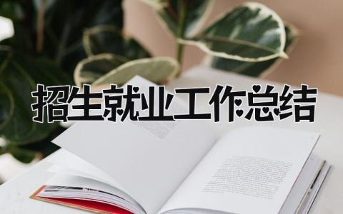 招生就业工作总结 精选11篇