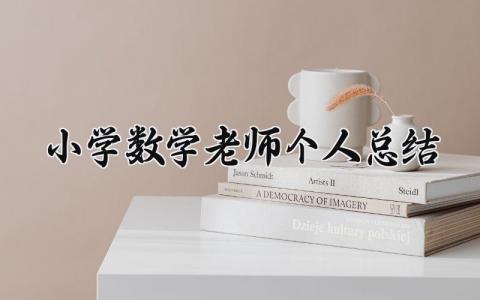 小学数学老师个人总结 精选15篇