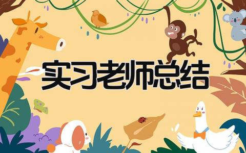 实习老师总结 精选15篇