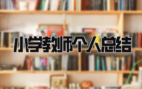 小学教师个人总结2025 精选12篇