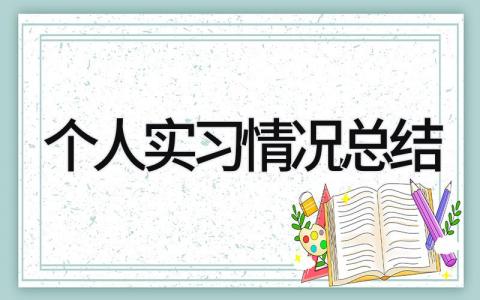 个人实习情况总结 精选16篇