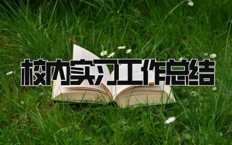 校内实习工作总结 精选15篇