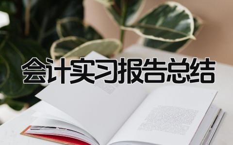 会计实习报告总结 精选21篇