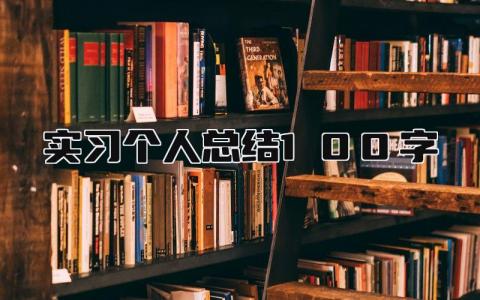 实习个人总结100字 精选6篇