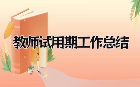 教师试用期工作总结 精选9篇
