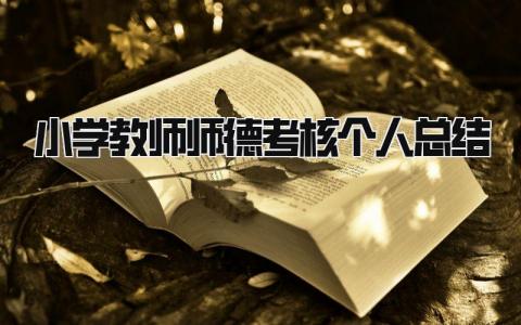 小学教师师德考核个人总结 精选14篇