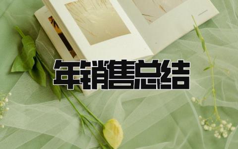 2025年销售总结 精选14篇