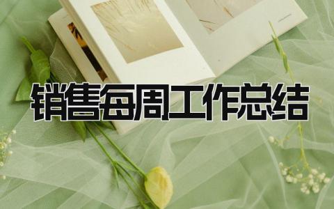 销售每周工作总结 精选10篇