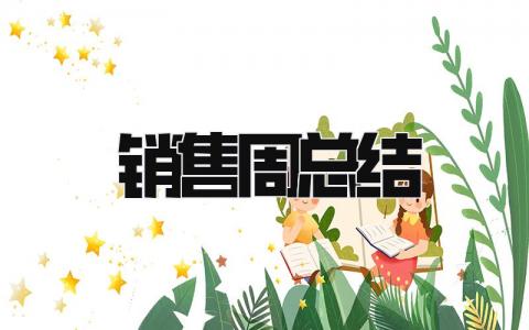 销售周总结 精选17篇