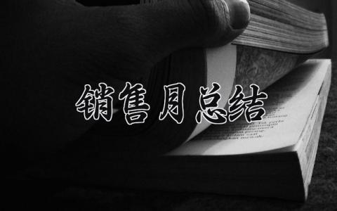销售月总结 精选13篇