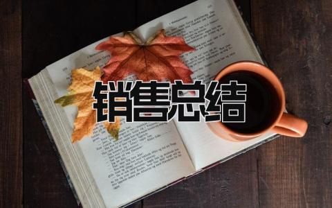 销售总结 精选16篇