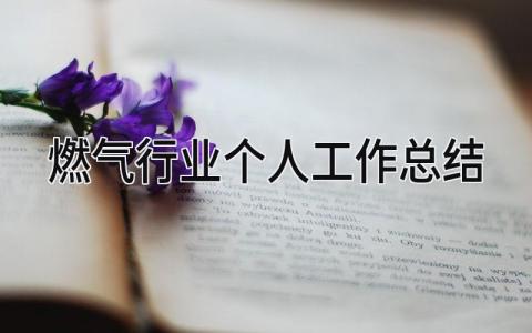 燃气行业个人工作总结 精选9篇