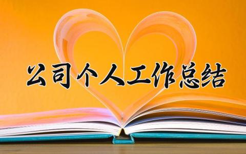 公司个人工作总结 精选12篇
