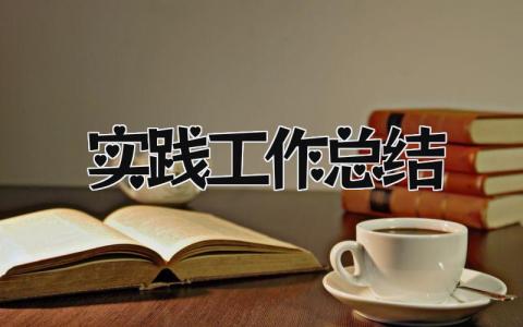 实践工作总结 精选21篇