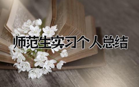 师范生实习个人总结 精选8篇