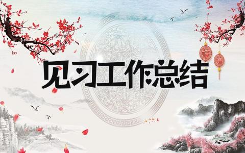 见习工作总结 精选19篇