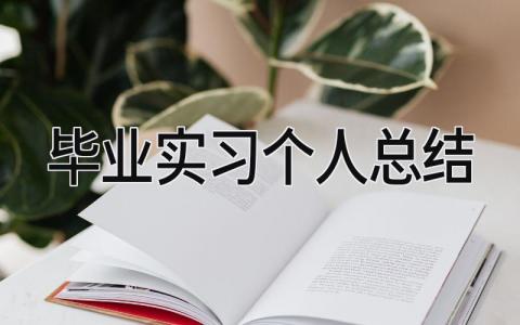 毕业实习个人总结 精选16篇