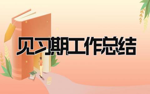 见习期工作总结 精选16篇