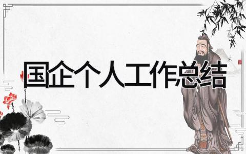 国企个人工作总结 精选11篇