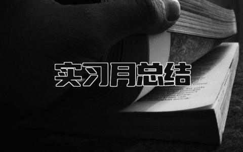 实习月总结 精选10篇