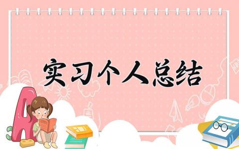 实习个人总结 精选9篇