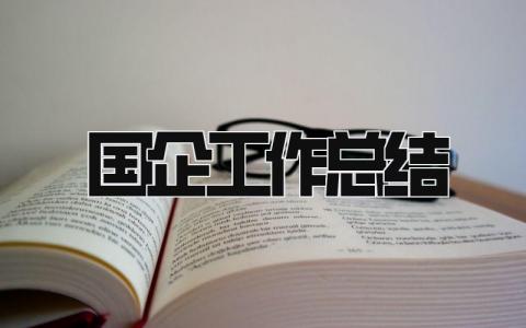 国企工作总结 精选19篇