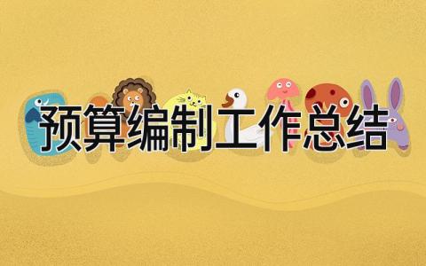 预算编制工作总结 精选12篇