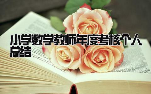 小学数学教师年度考核个人总结 精选18篇