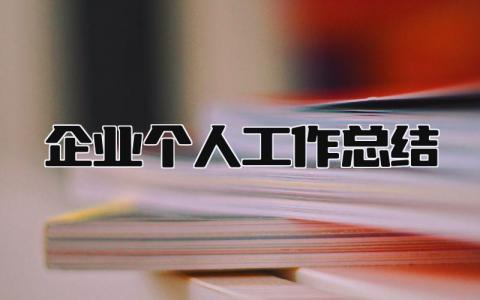 企业个人工作总结 精选16篇
