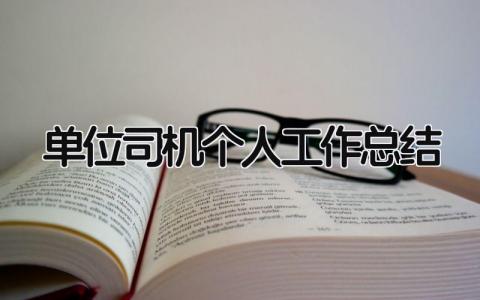 单位司机个人工作总结 精选13篇