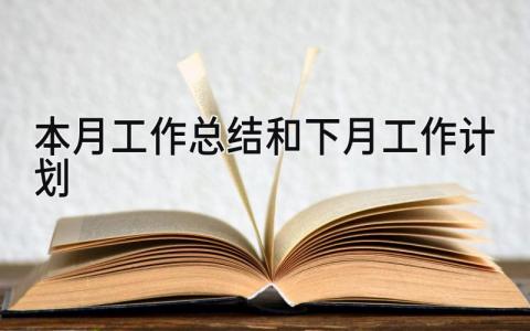 本月工作总结和下月工作计划 精选9篇
