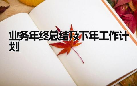 业务年终总结及下年工作计划 精选14篇