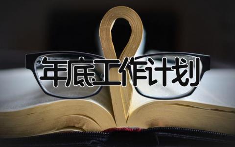 年底工作计划 精选12篇