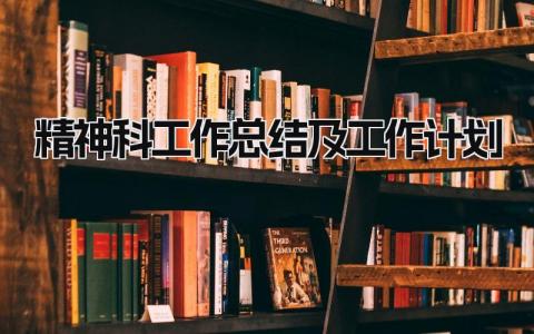 精神科工作总结及工作计划 精选14篇