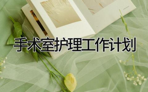 手术室护理工作计划 精选10篇