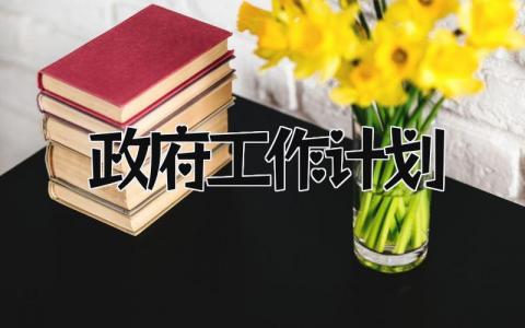政府工作计划 精选11篇