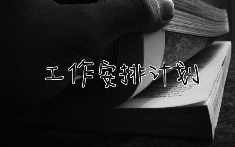 工作安排计划 精选6篇