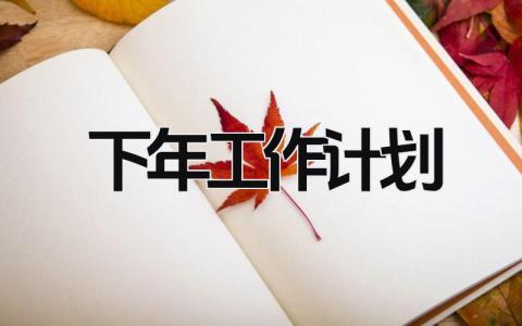 下年工作计划 精选16篇