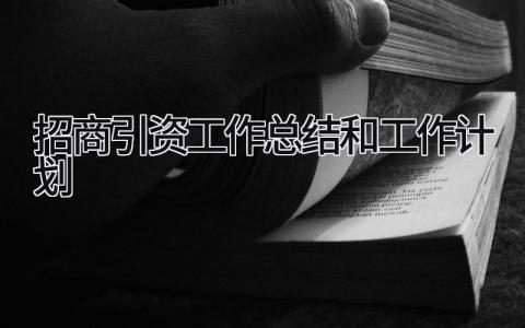 招商引资工作总结和工作计划 精选7篇