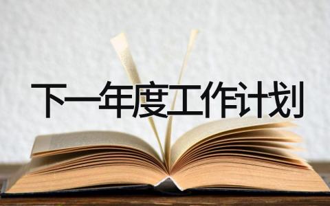 下一年度工作计划 精选19篇